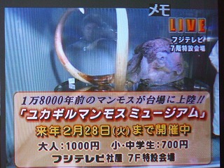 ユカギルマンモス.jpg
