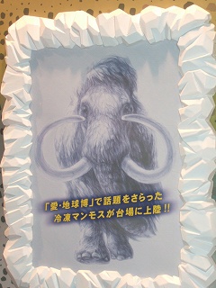 DSCF6772.jpg