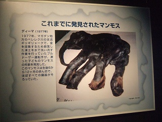 DSCF6774.jpg