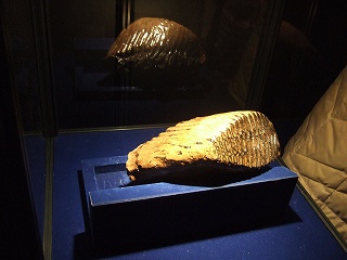 DSCF6782.jpg