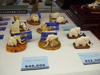 DSCF6810.jpg