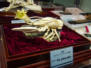 DSCF6811.jpg