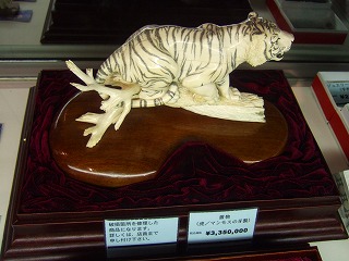 DSCF6813.jpg
