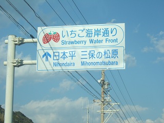 いちご看板.jpg