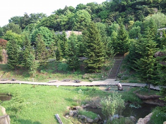 園内の広場.jpg