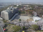 観覧ヤから1.jpg