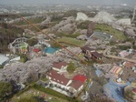 観覧ヤから2.jpg