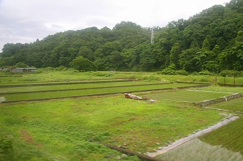 箱根旅行ヤ窓.jpg