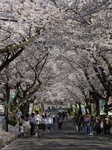DSC02790.jpg