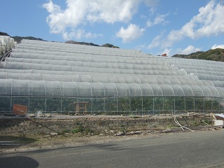 DSCF8794.jpg